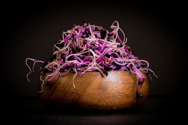 Articol Ventraldonia